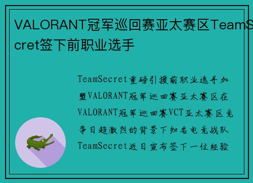 VALORANT冠军巡回赛亚太赛区TeamSecret签下前职业选手