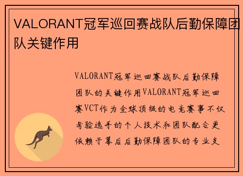 VALORANT冠军巡回赛战队后勤保障团队关键作用