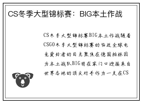 CS冬季大型锦标赛：BIG本土作战
