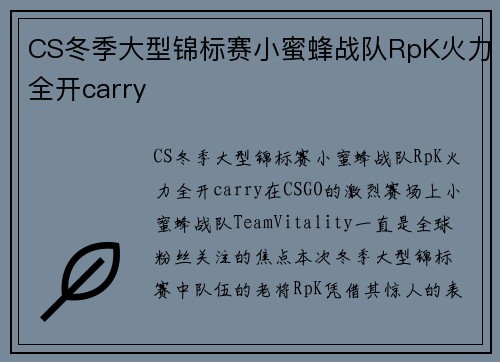 CS冬季大型锦标赛小蜜蜂战队RpK火力全开carry